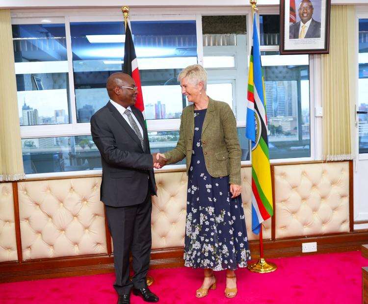 Swedish Ambassador and Kenyan Medical Official Discuss Healthcare Collaboration and Cancer Care Awareness