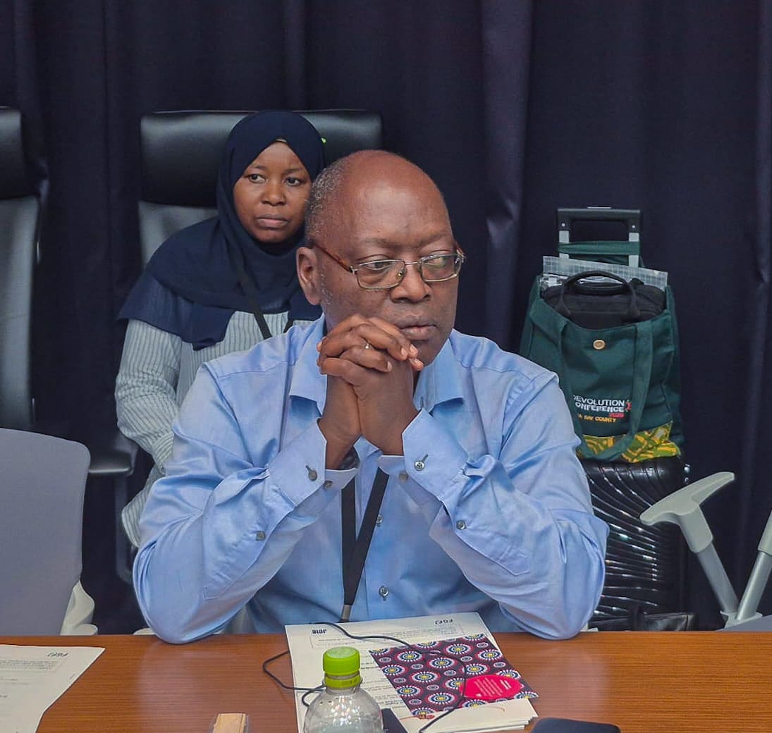 Kenya Highlights Milestones in Combating Infectious Diseases at Pre-TICAD9 Round Table