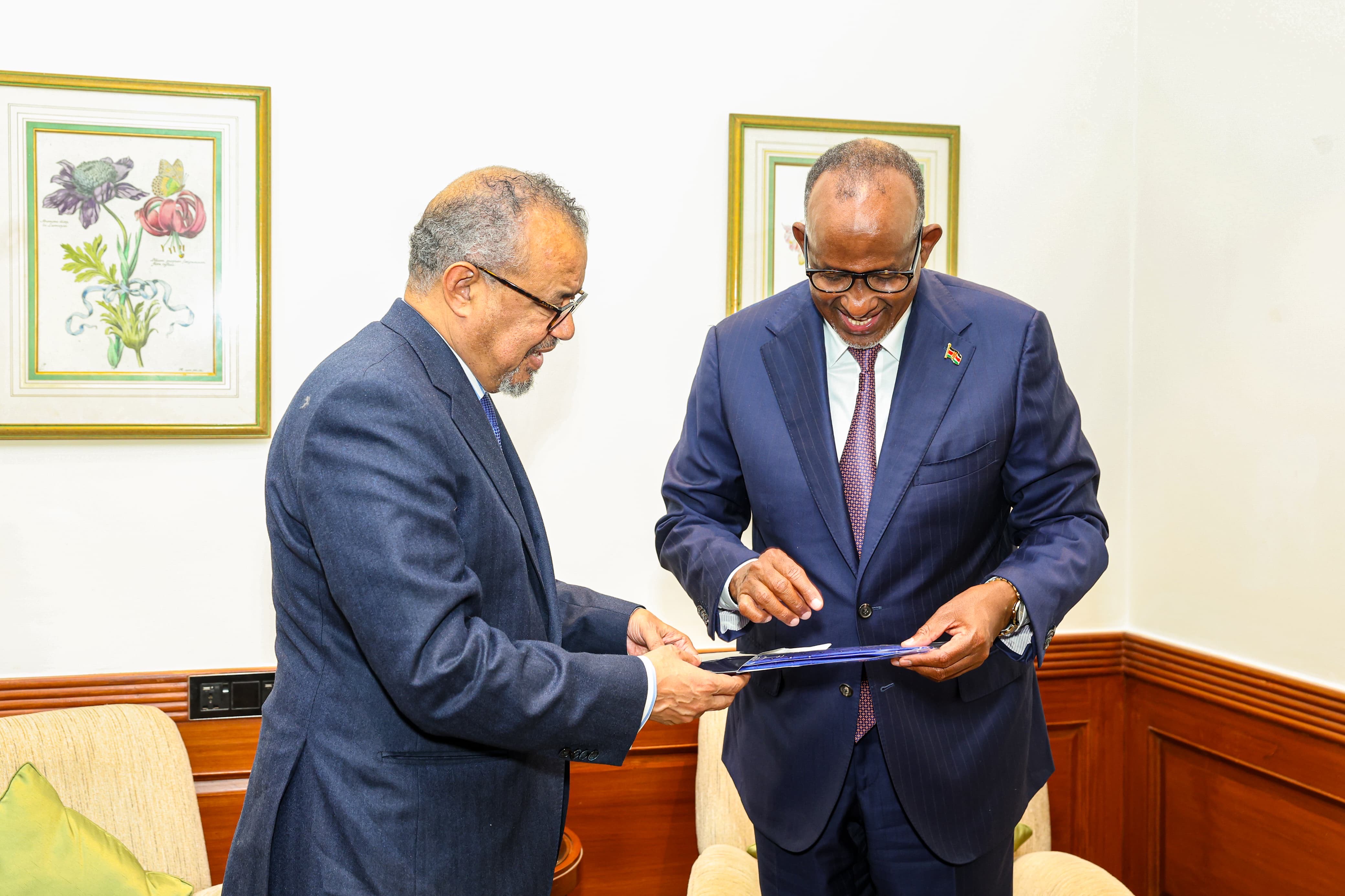 Kenya, WHO Strengthen Strategic Health Partnership at Global Summit in India