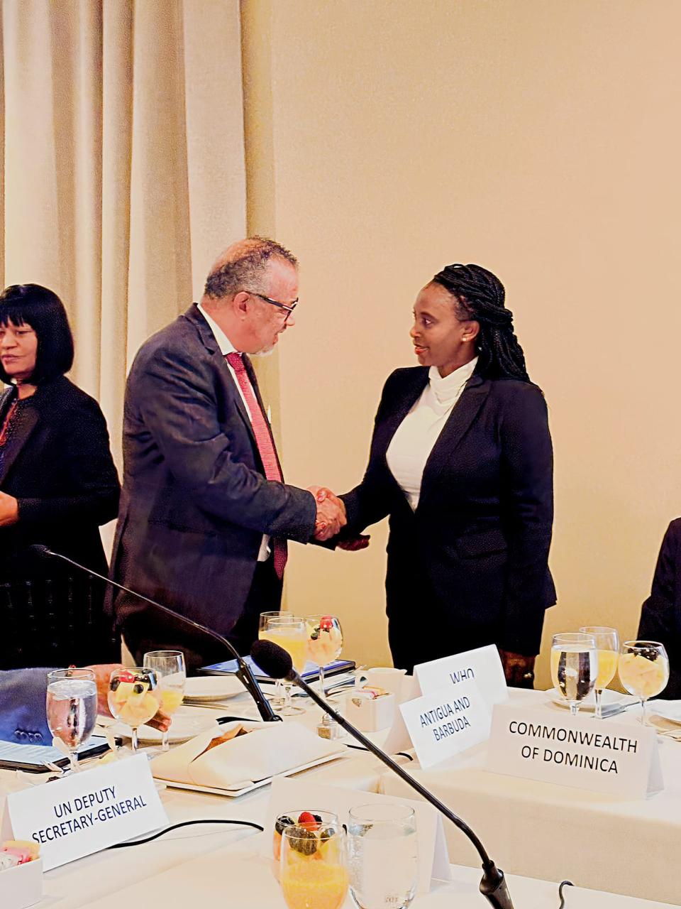 PS Muthoni highlights Kenya's priority programmes in health at a high level meeting in New York.