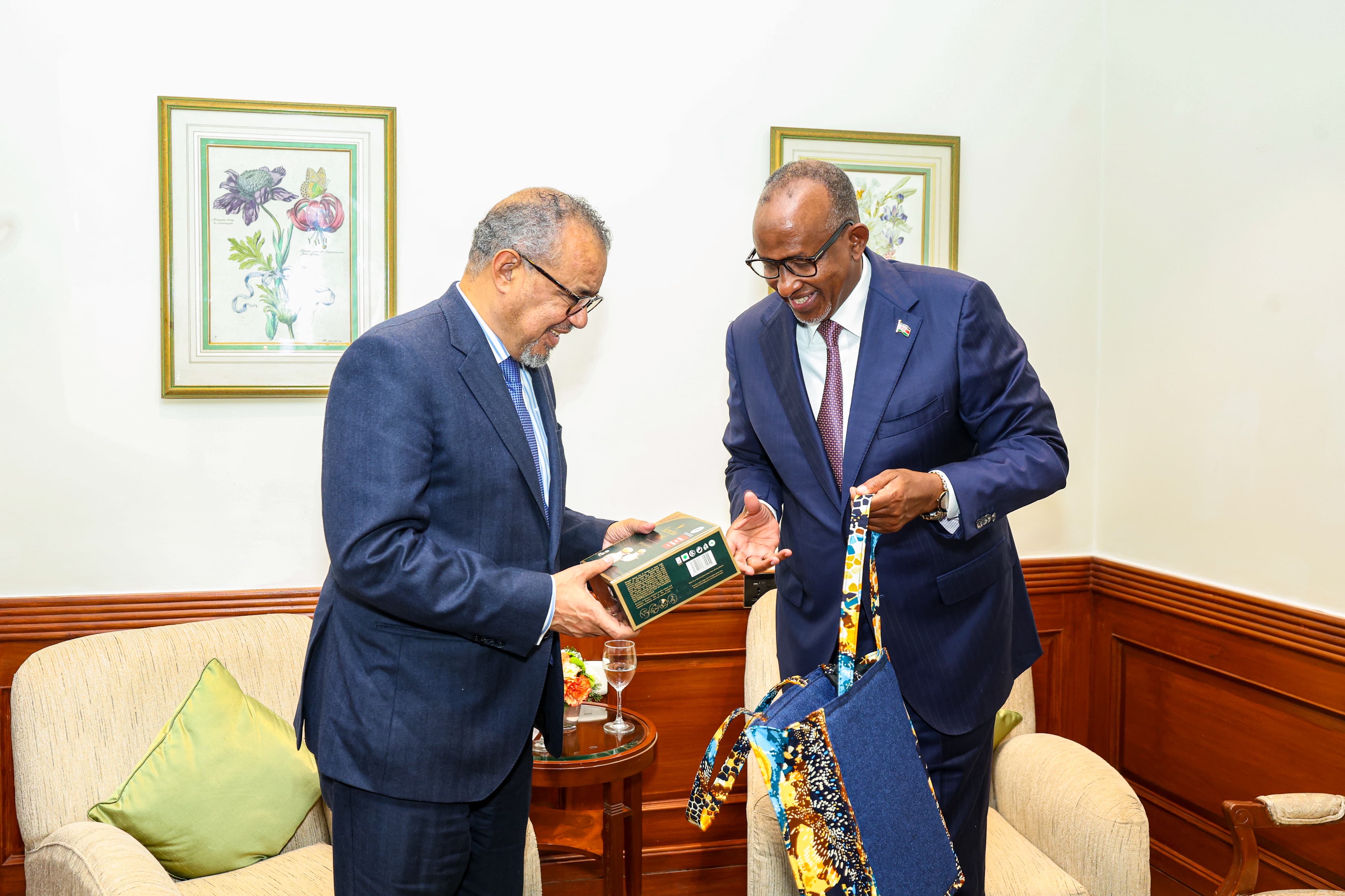 Kenya, WHO Strengthen Strategic Health Partnership at Global Summit in India