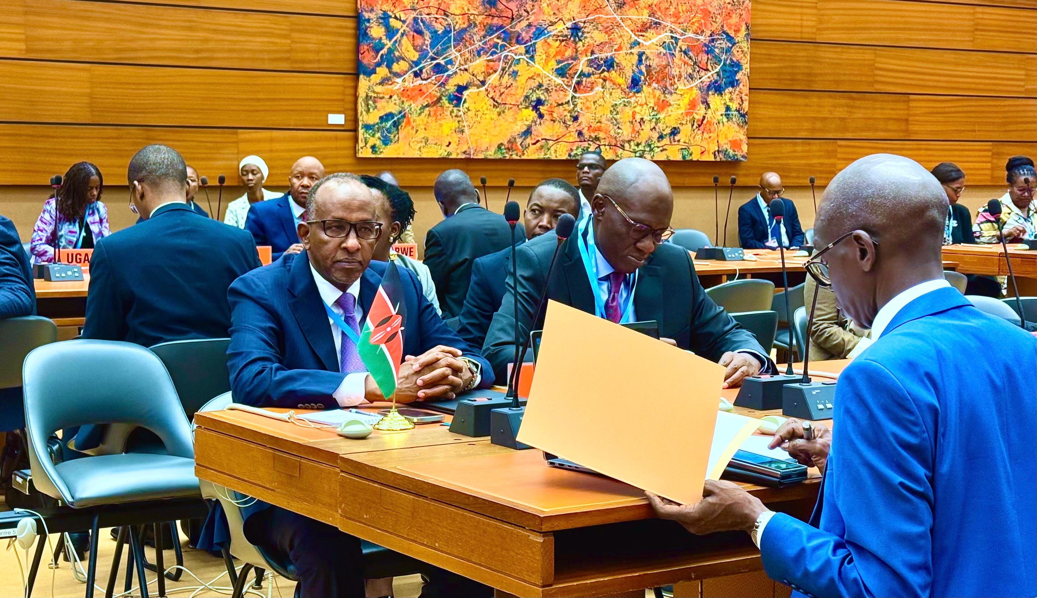 Hon. Aden Duale Attends WHO Africa Health Ministers Coordination Meeting in Geneva
