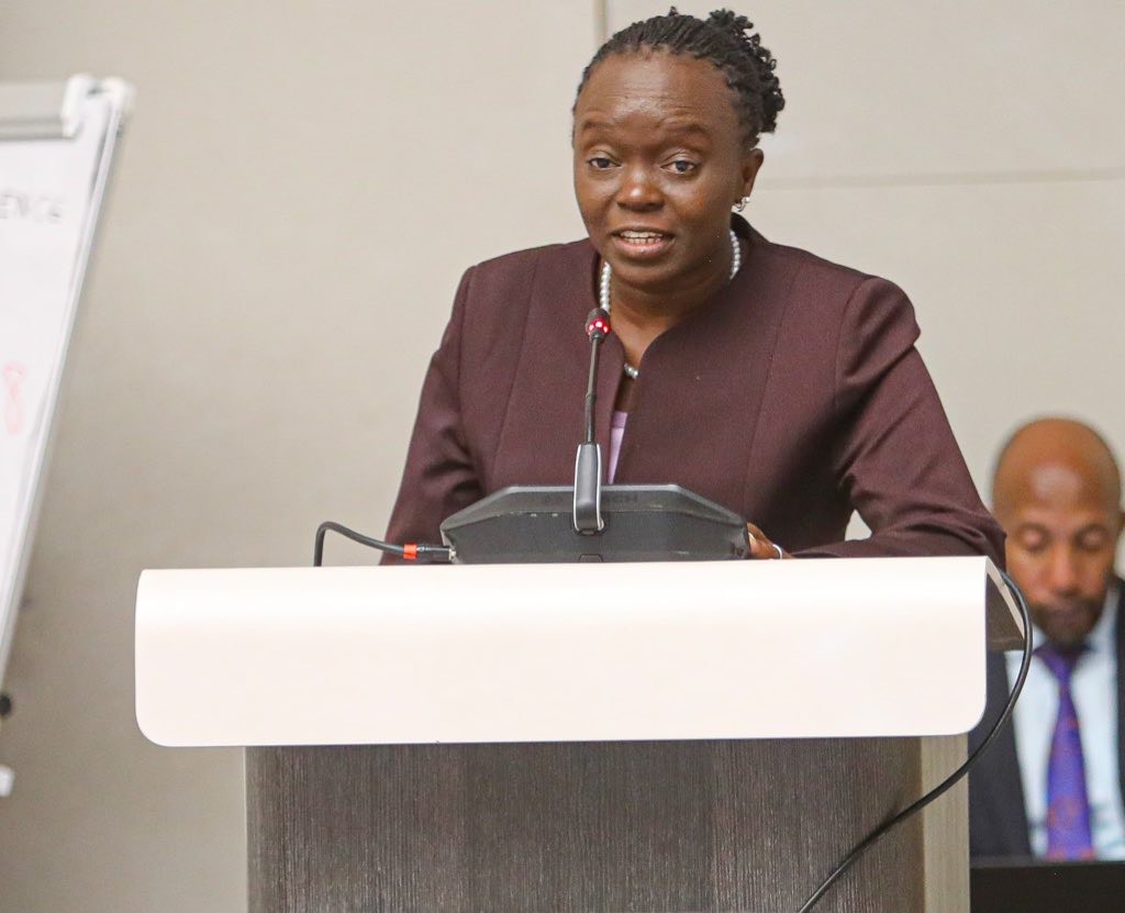 Health CS and PS Appear Before Senate Committee to Address Social Health Insurance Tariffs