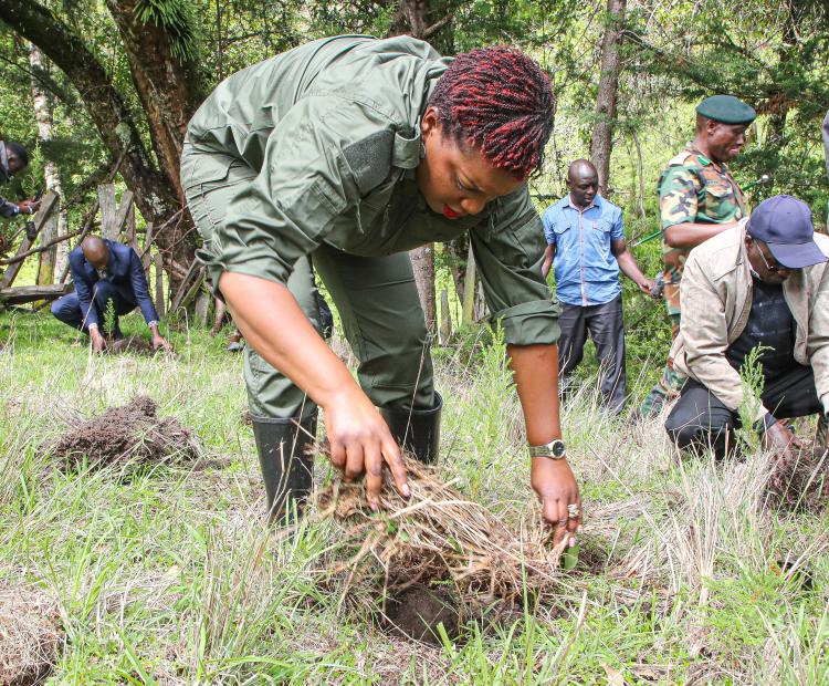 Ministry of Health Leads National Tree Planting Initiative in Pokot South Sub County