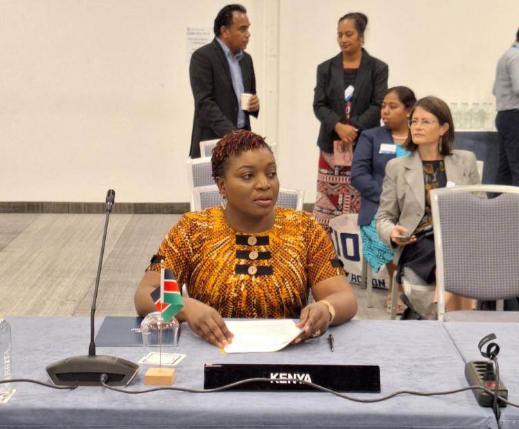 Kenya Reaffirms Commitment to Universal Health Coverage at Commonwealth Health Ministers Meeting