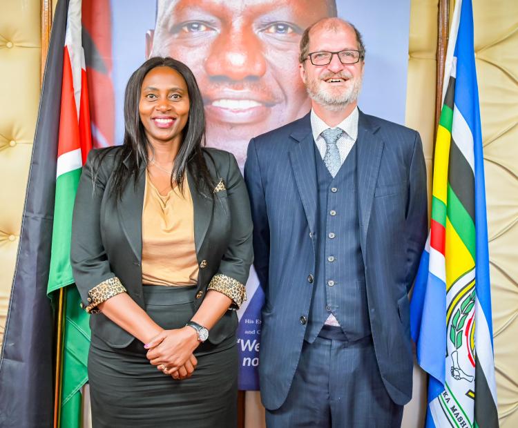 Advancing Implementation of the Electronic Community Health Information System (E-CHIS)