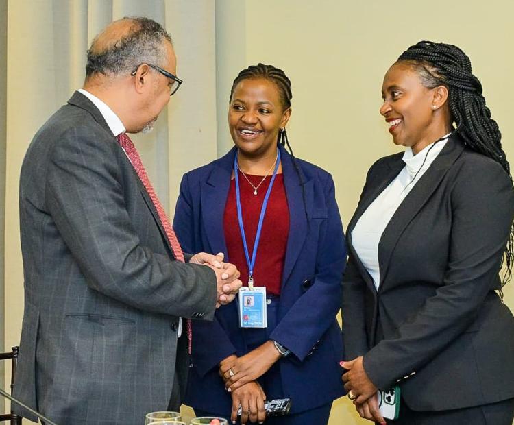 PS Muthoni highlights Kenya's priority programmes in health at a high level meeting in New York.