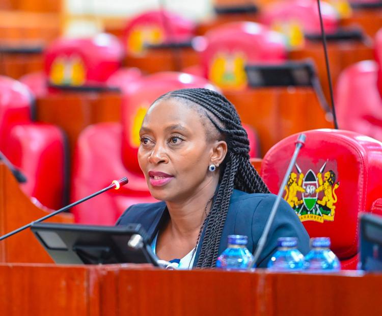 Public Health Principal Secretary Appears Before Parliament Over Lang’ata Cemetery Concerns