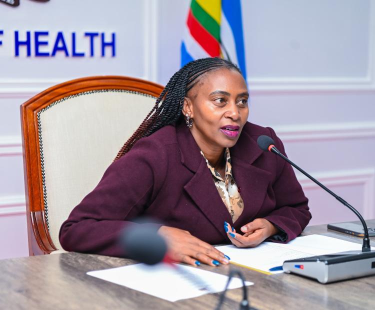 PS Muthoni Convenes Stakeholders to Chart Sustainability Plan for HIV, TB, and Malaria Programs