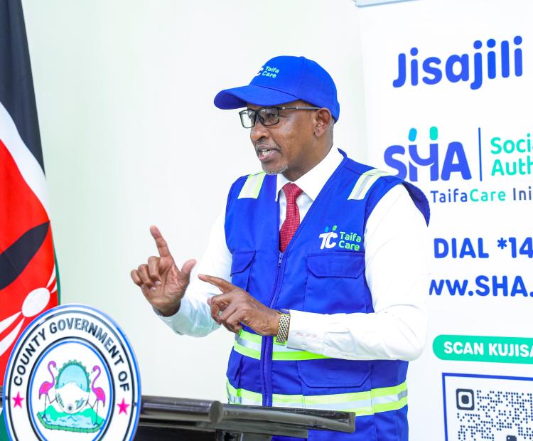 Driving Government Digitization for Better Health Outcomes