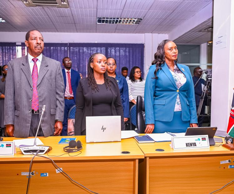 PS Mary Muthoni Joins COMESA Ministers for The Opening of The Second Regional Health Meeting in Lusaka