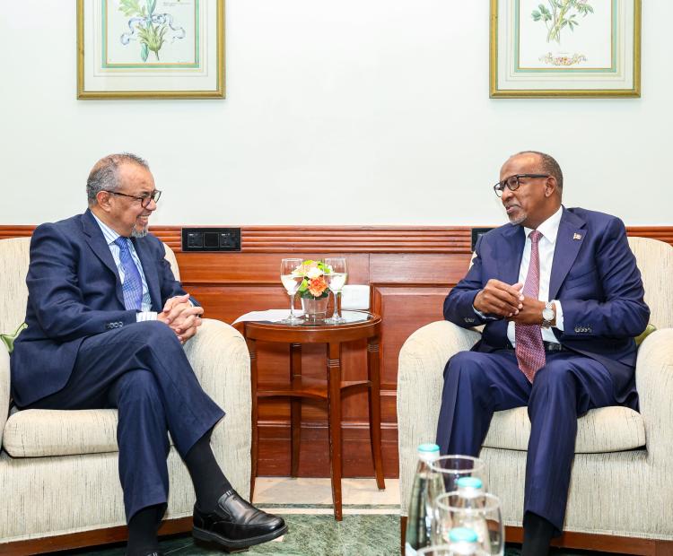 Kenya, WHO Strengthen Strategic Health Partnership at Global Summit in India