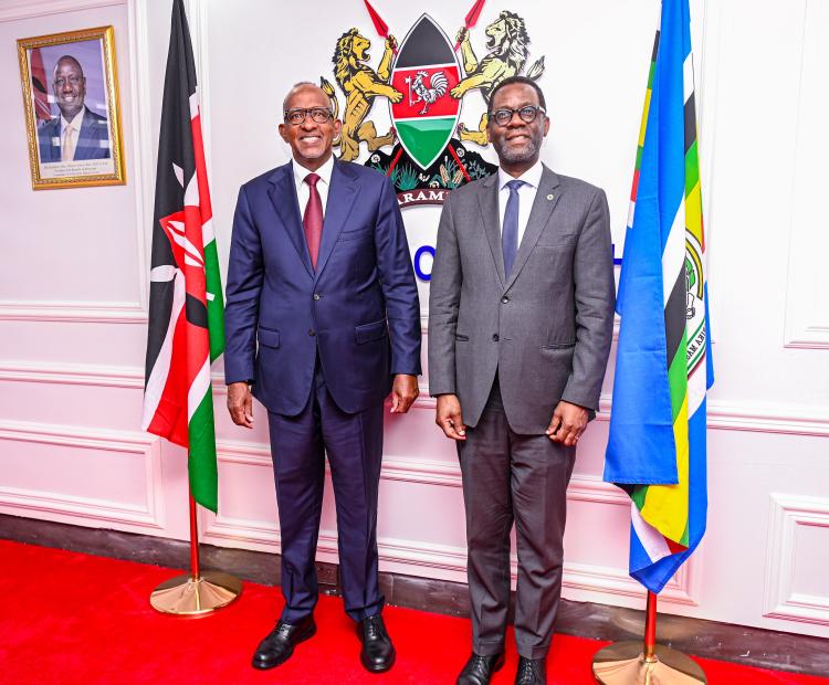 Kenya, AfDB Advance Plans for New Level VI Referral and Teaching Hospitals to Fast-Track UHC