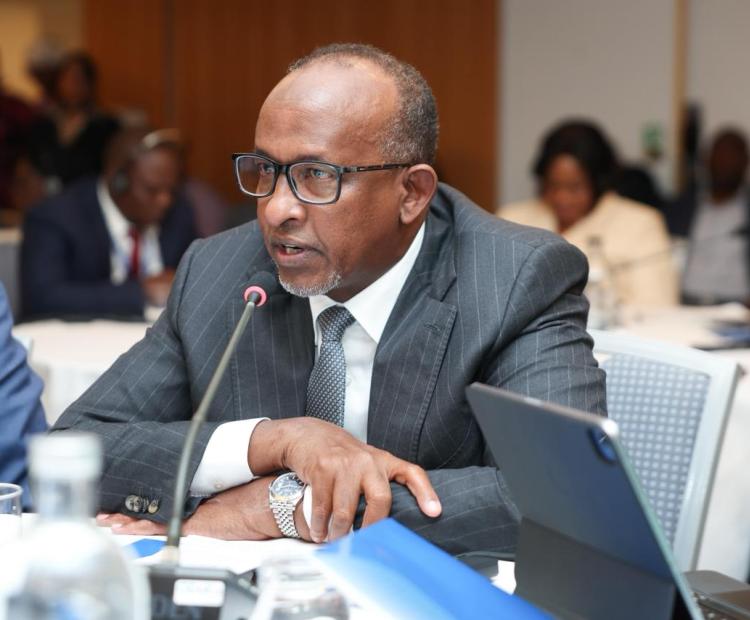 CS Duale Joins African Ministers in Strategic Dialogue on Africa’s Health Future